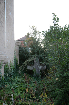 urheber: tilman2007