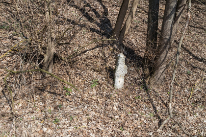 urheber: derzno