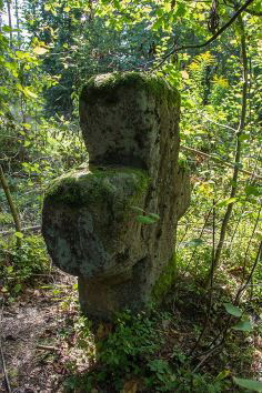urheber: derzno