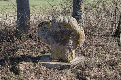urheber: derzno