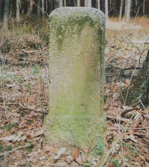 quelle: t. sobczyk-a. bueltemeier