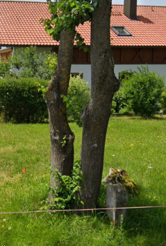 quelle: google.com-schwabsoien street view