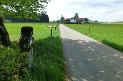 quelle: geo-lehrpfad-holzkirchen.de