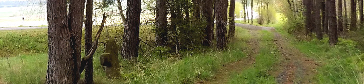 standort alter abzweig hendlmuehle blick nach nord